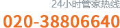 020-38806640
