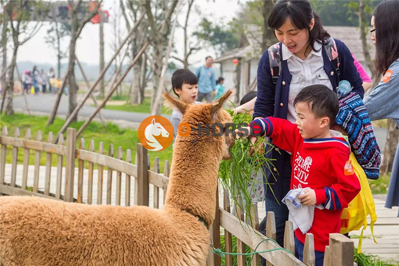 图片40.png
