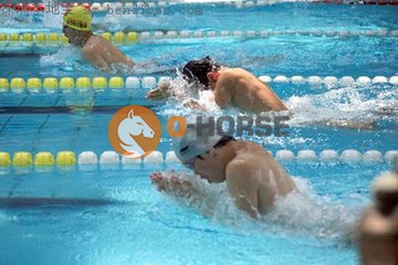 t01717a2f6997df113d.jpg