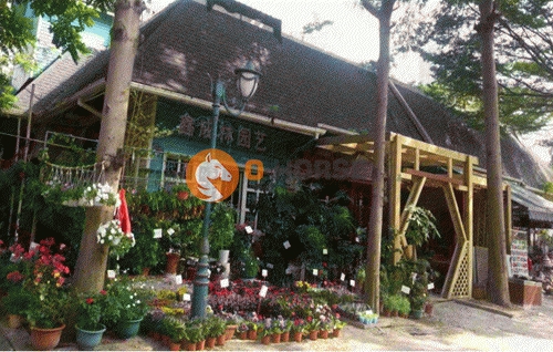 清远花卉小镇1.jpg