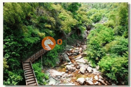 清远栈道探险.jpg
