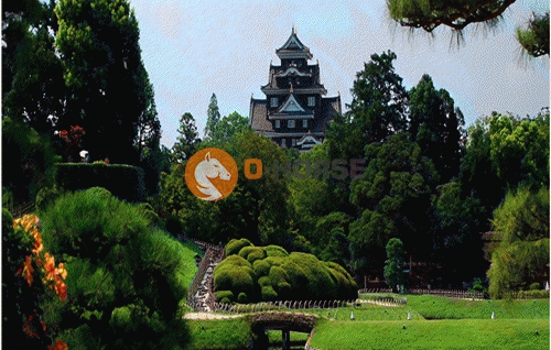 佛山高明塘伙1.jpg
