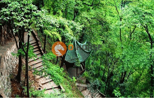 白云五龙山庄2 (1).jpg