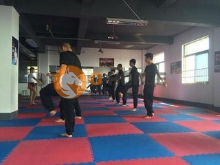 t01cdc50501e4e85aa1.jpg