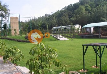广州大学城长洲岛拓展基地.jpg